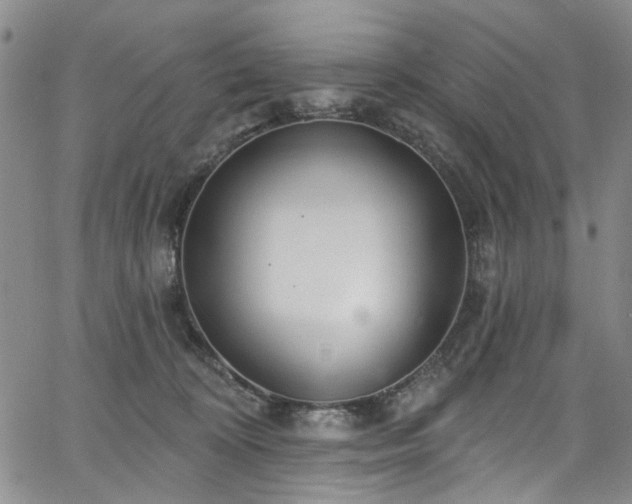 X0000067490324200604071210