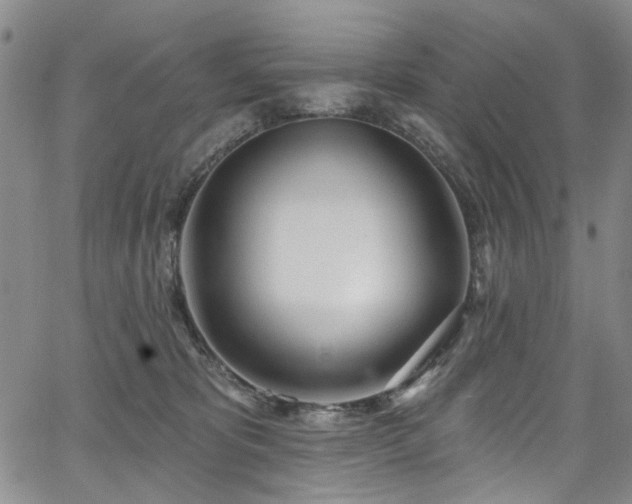 X0000067490325200604071210