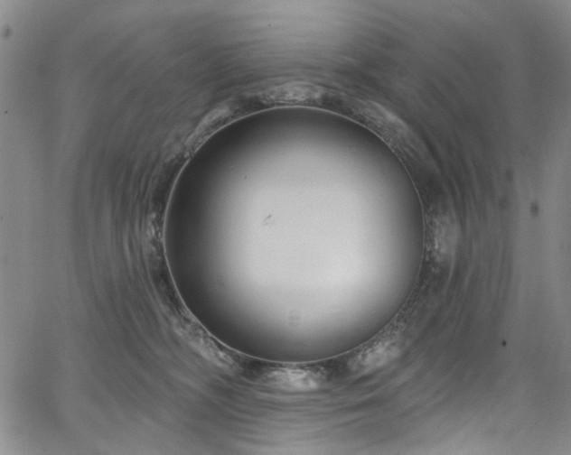 X0000067490326200604071210