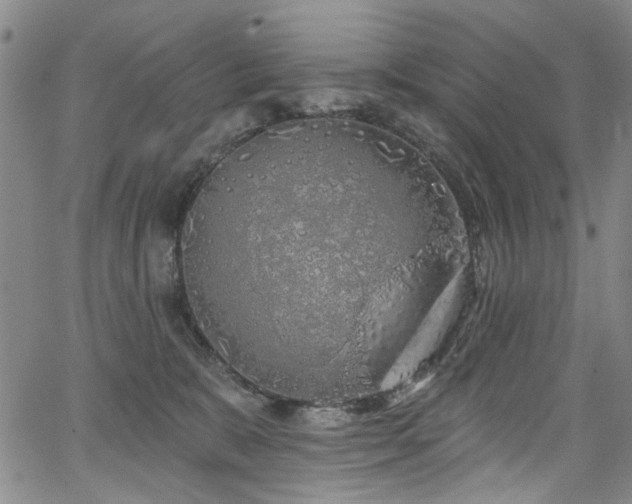 X0000067490327200604071210