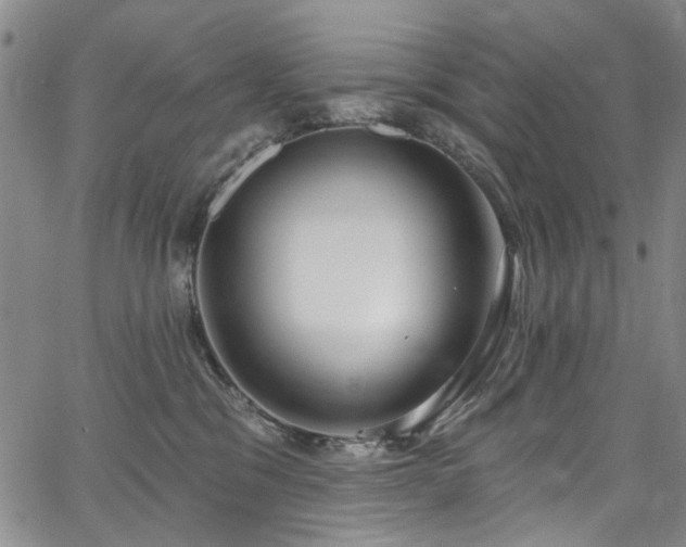 X0000067490329200604071210