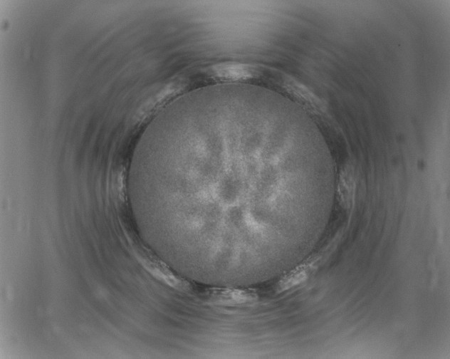 X0000067490330200604071210