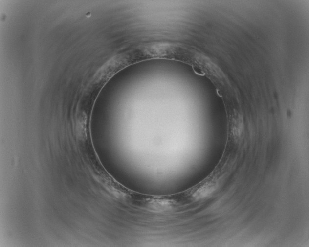 X0000067490332200604071210