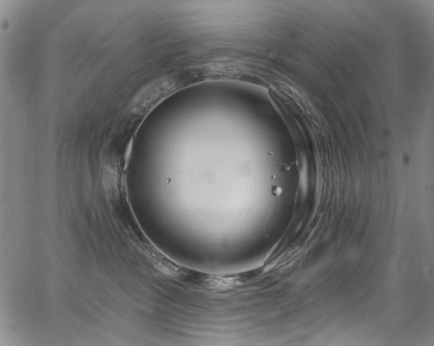 X0000067490333200604071210