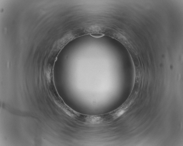 X0000067490334200604071210