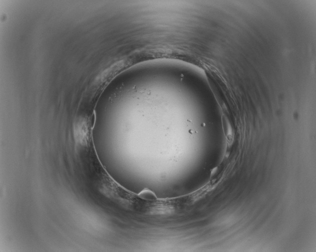 X0000067490335200604071210