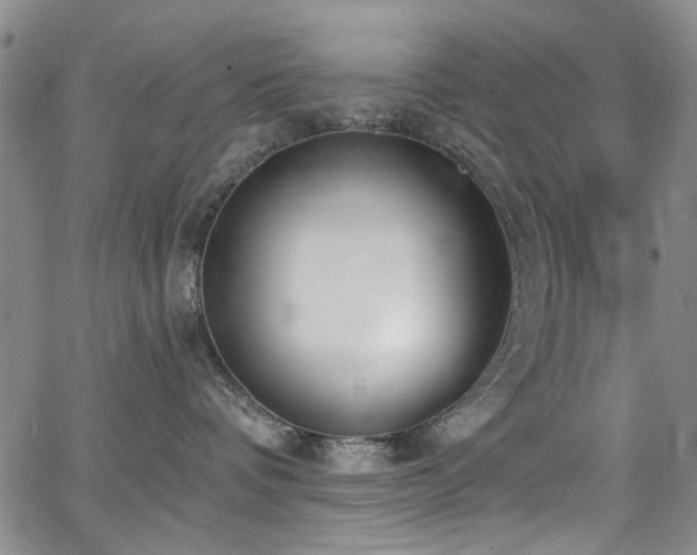 X0000067490336200604071210