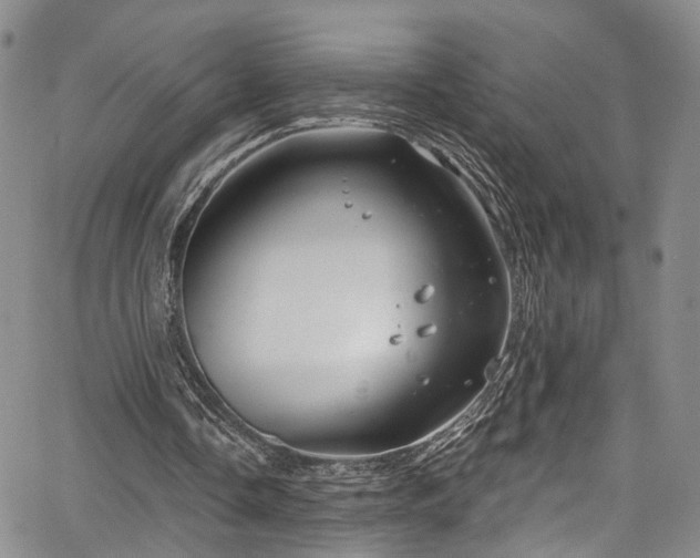 X0000067490338200604071209