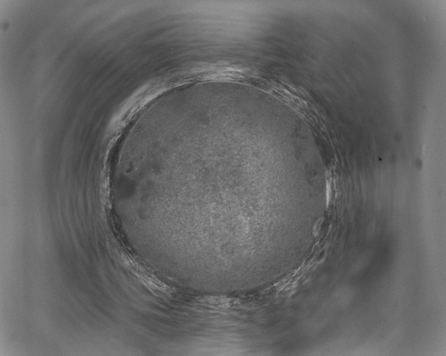 X0000067490339200604071209