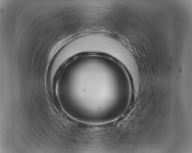 X0000067490340200604071209