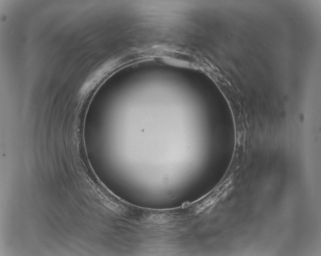 X0000067490341200604071209