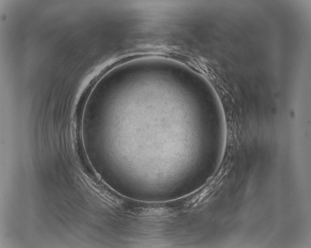 X0000067490342200604071209