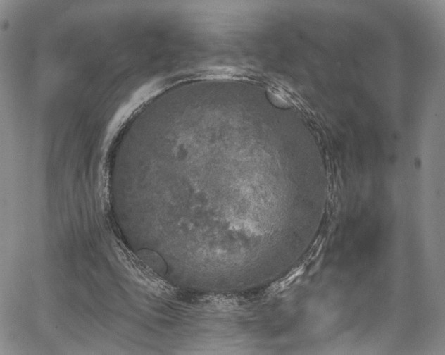 X0000067490343200604071209