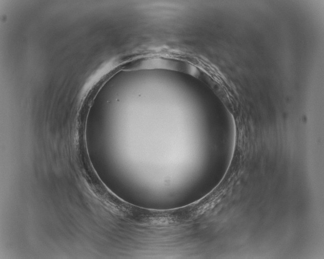 X0000067490344200604071209