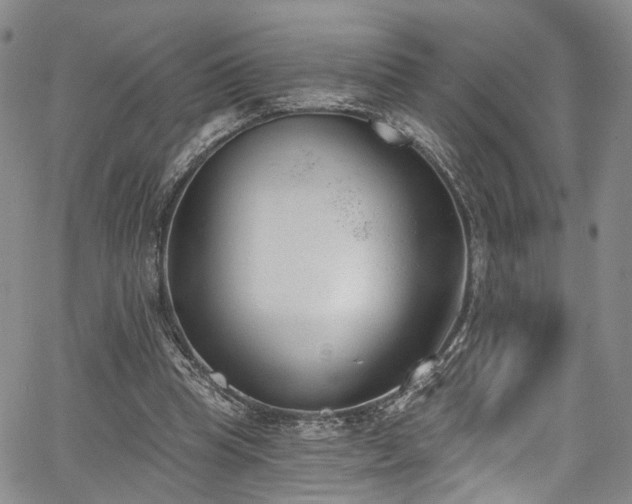 X0000067490345200604071209