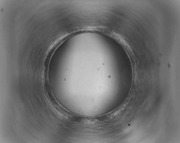 X0000067490346200604071209