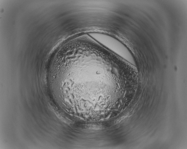 X0000067490347200604071209