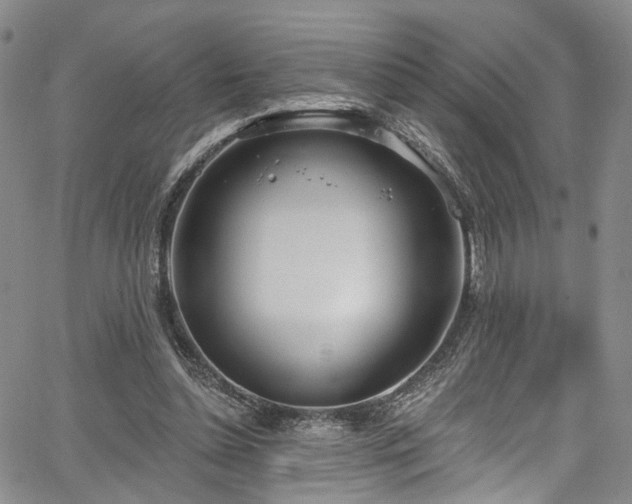 X0000067490348200604071210