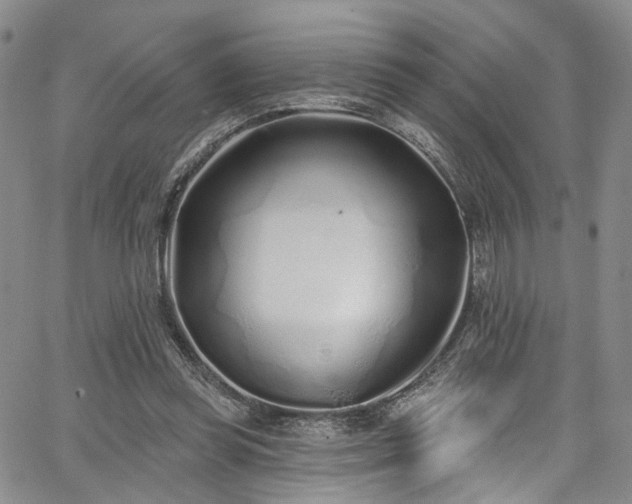 X0000067490349200604071210