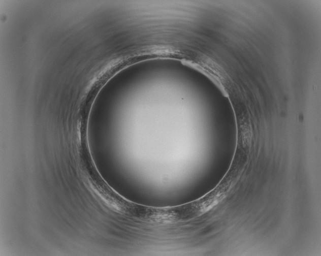 X0000067490350200604071210