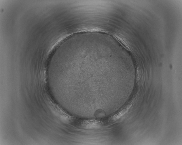 X0000067490351200604071210