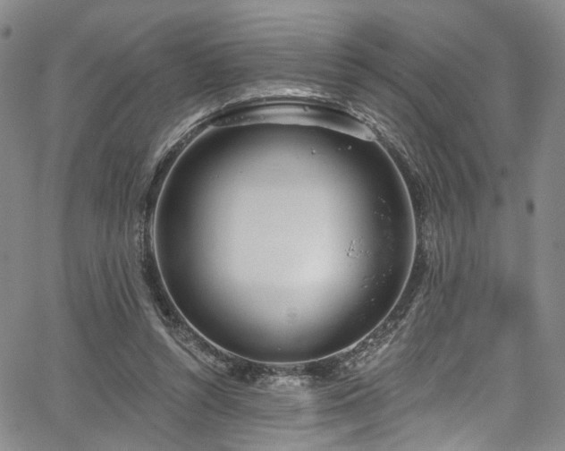 X0000067490352200604071210