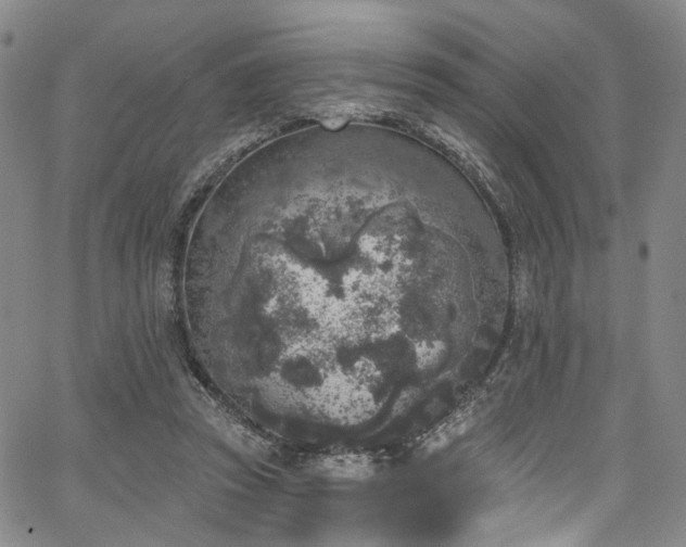 X0000067490353200604071210