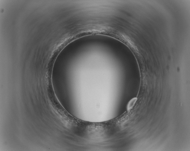 X0000067490354200604071210