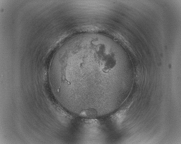 X0000067490355200604071210