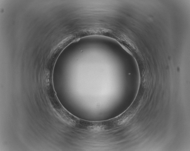 X0000067490356200604071210