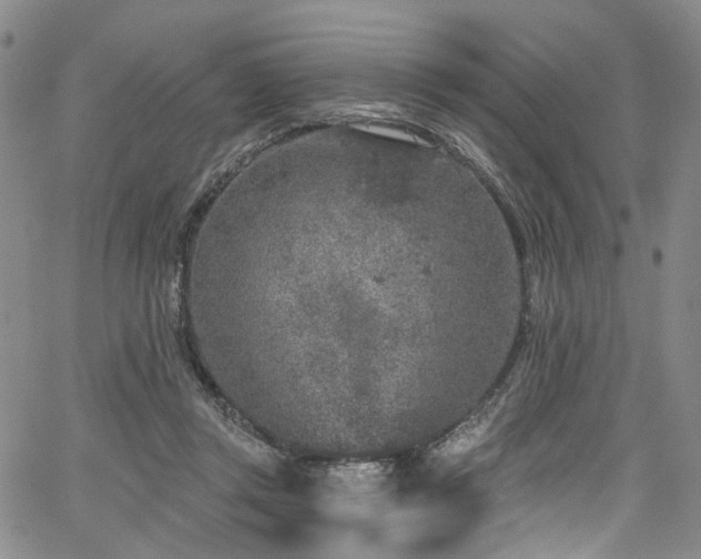 X0000067490357200604071210