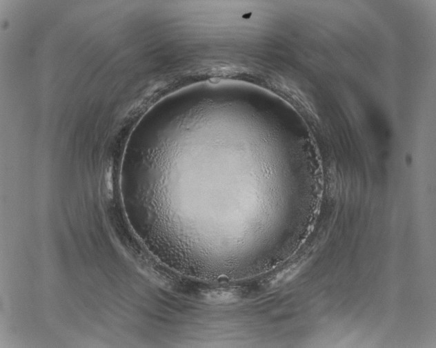 X0000067490358200604071210