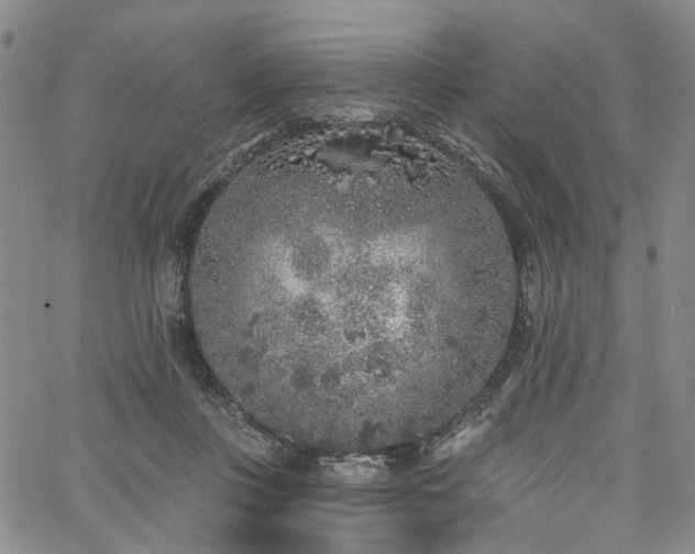 X0000067490359200604071210