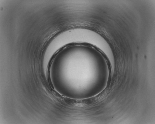 X0000067490360200604071210