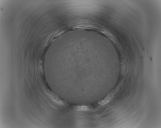 X0000067490361200604071210