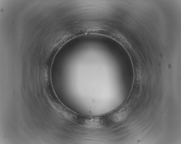 X0000067490362200604071210