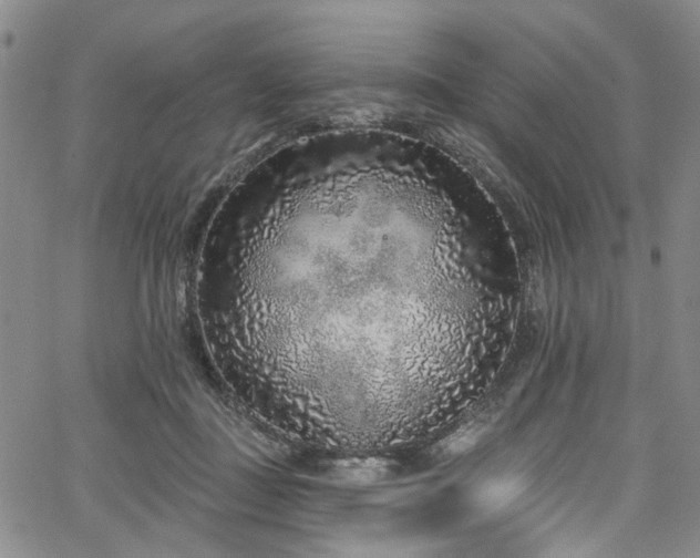 X0000067490363200604071210