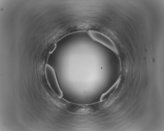 X0000067490364200604071210