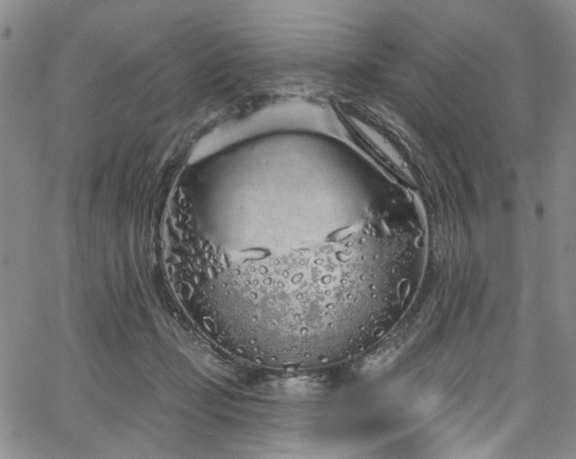 X0000067490365200604071210