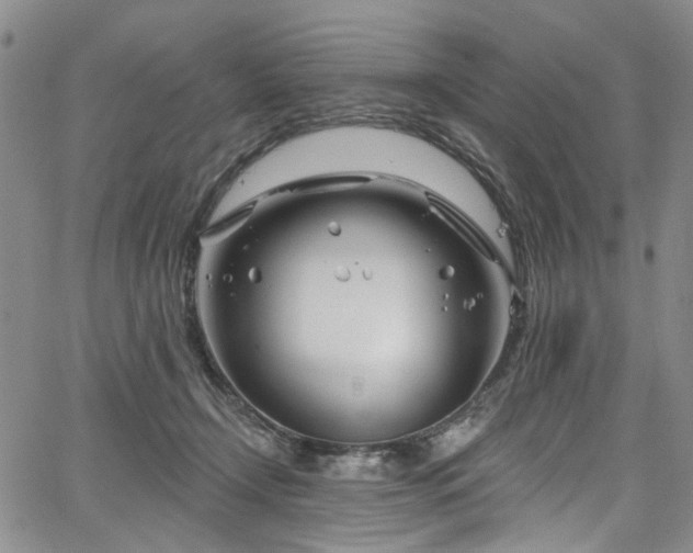 X0000067490366200604071210