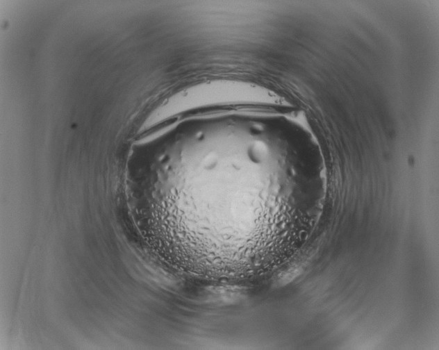 X0000067490367200604071210