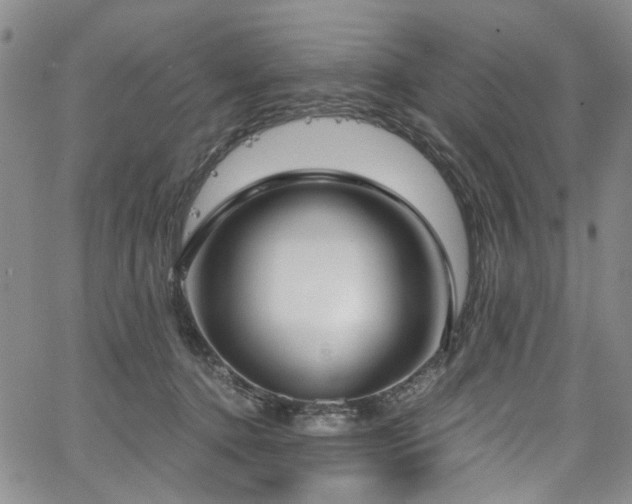 X0000067490368200604071210