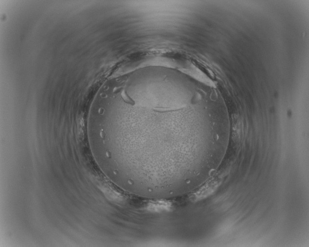 X0000067490369200604071210