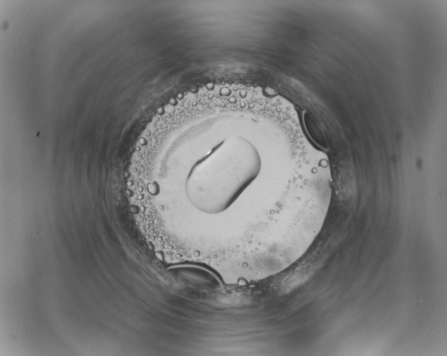 X0000067490370200604071210