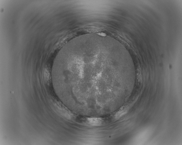 X0000067490371200604071210