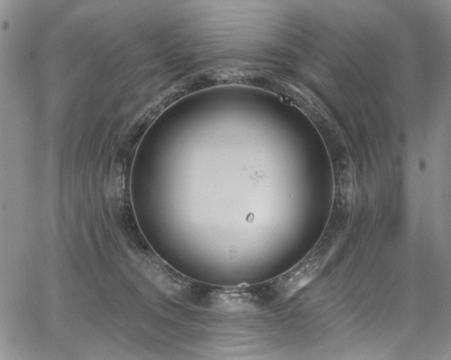 X0000067490372200604071210