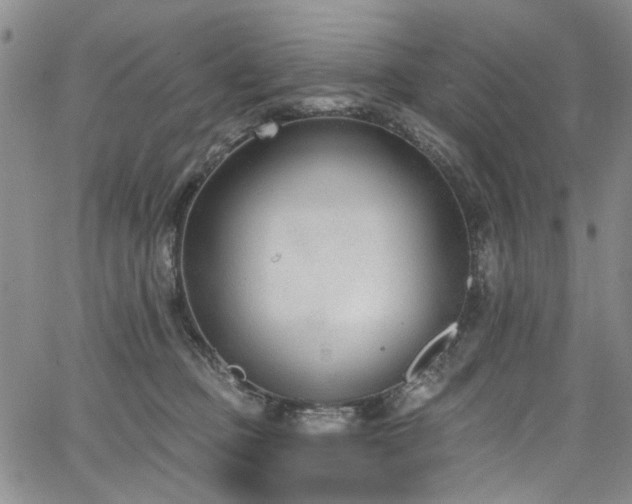 X0000067490373200604071210