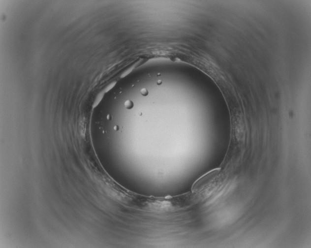 X0000067490374200604071210