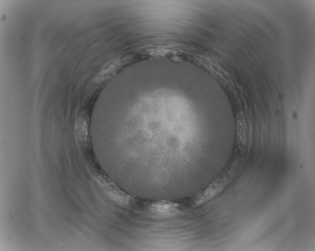 X0000067490375200604071210