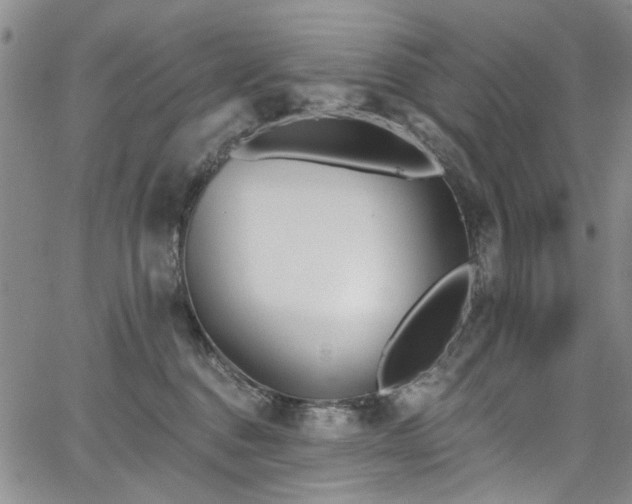 X0000067490376200604071210